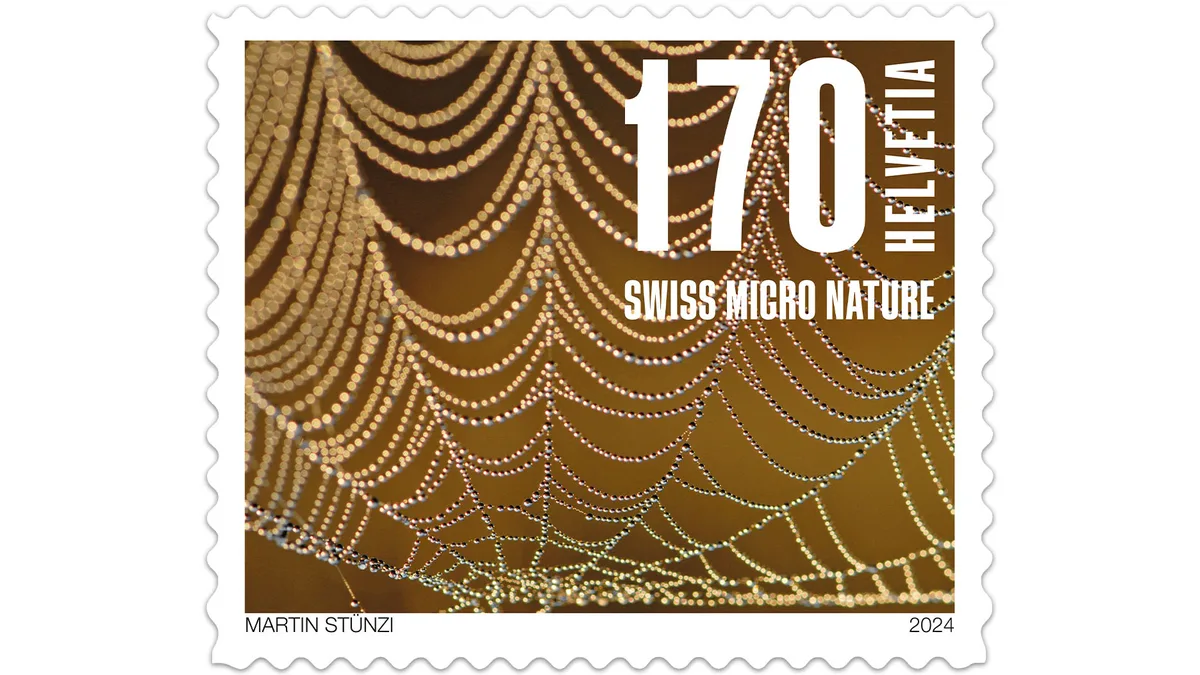 Spinnennetz: Uetzikerried bei Hombrechtikon. Briefmarken Naturmuster 2024